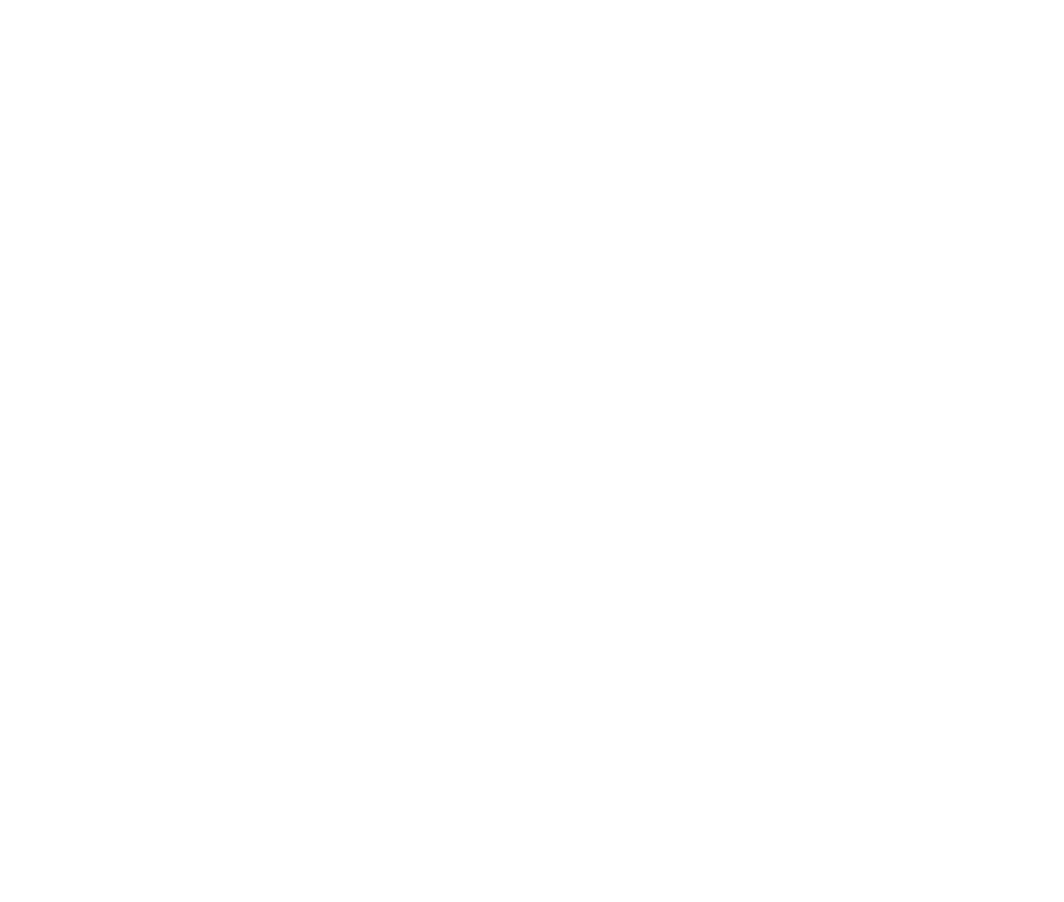 b-plus Logo